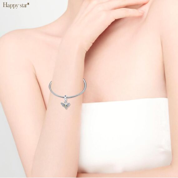 HappyStar Silber 925 Charms Anhänger für Armbänder, Combination Dangle Anhänger Bead Charms für Damen Kompatibel mit Pandora Europäischen Armbändern und Halskette （Mit Spacer Beads