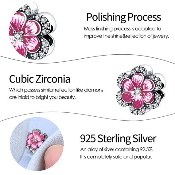 HappyStar Silber 925 Charms Anhänger für Armbänder,Combination Dangle Anhänger Bead Charms für Damen Kompatibel mit Pandora Europäischen Armbändern und Halskette （Mit Spacer Beads