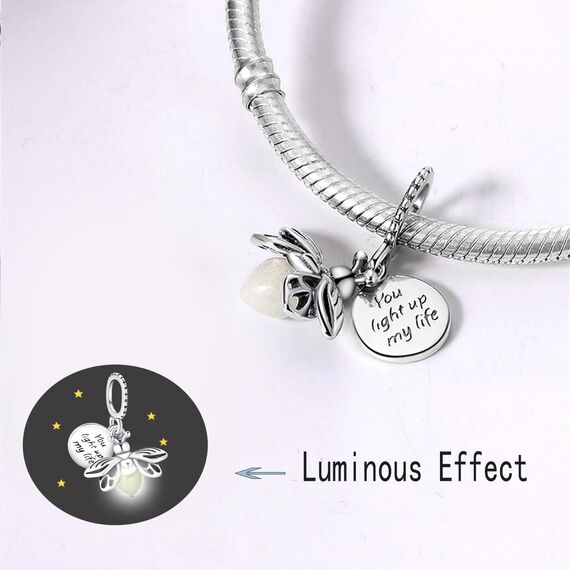 HappyStar Silber 925 Charms Anhänger für Armbänder, Combination Dangle Anhänger Bead Charms für Damen Kompatibel mit Pandora Europäischen Armbändern und Halskette （Mit Spacer Beads