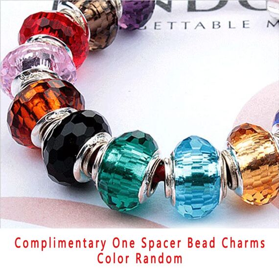 HappyStar Silber 925 Charms Anhänger für Armbänder, Combination Dangle Anhänger Bead Charms für Damen Kompatibel mit Pandora Europäischen Armbändern und Halskette （Mit Spacer Beads