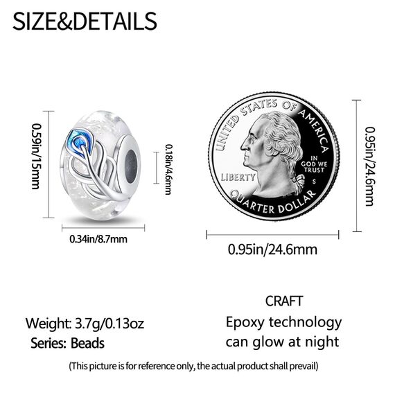 HappyStar beads charms,passt Charms Armbänder Halskette Europäischen Schmuck ，Bead Charms für Damen,925 Sterling Silber Dangle Anhänger