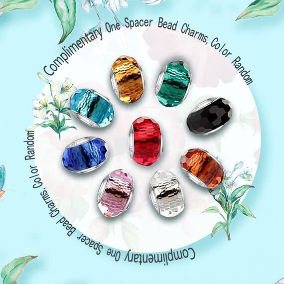 HappyStar beads charms,passt Charms Armbänder Halskette Europäischen Schmuck ，Bead Charms für Damen,925 Sterling Silber Dangle Anhänger