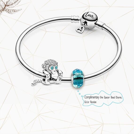 HappyStar beads charms,passt Charms Armbänder Halskette Europäischen Schmuck ，Bead Charms für Damen,925 Sterling Silber Dangle Anhänger