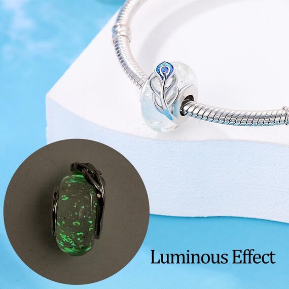 HappyStar beads charms,passt Charms Armbänder Halskette Europäischen Schmuck ，Bead Charms für Damen,925 Sterling Silber Dangle Anhänger