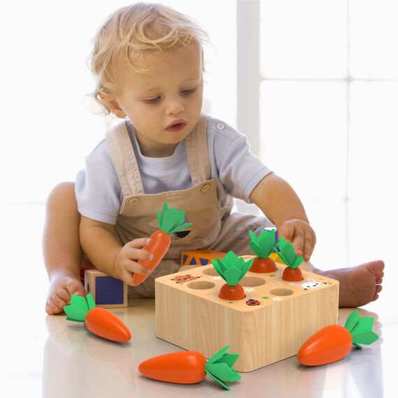 KMTJT Holzspielzeug ab 1 Jahr | Baby Motorik, Montessori Spielzeug 2 3 Jahre | für 6-12 Monate Jungen Mädchen | Sortierspiel Holzpuzzle Karottenernte | Lernspielzeug Geschenke für Kinder Kleinkind