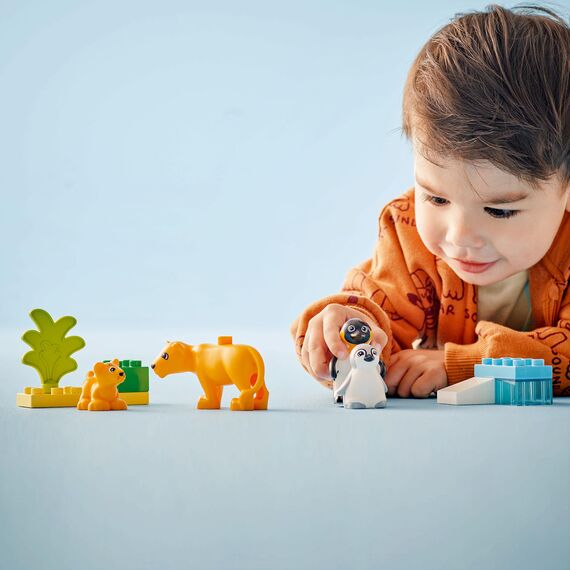 LEGO DUPLO Wildtier-Familien: Pinguine und Löwen – Spielzeug zur Förderung der Feinmotorik für Mädchen & Jungen ab 2 Jahren – Lernspielzeug für Kleinkinder mit 4 Tierfiguren – Geschenkidee – 10442
