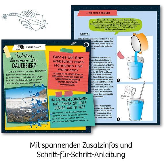 KOSMOS 657871 Urzeit-Krebse, Urzeitkrebse selbst züchten, Experimentier-Set für Kinder ab 8 Jahre, Komplett-Set für Einsteiger mit Eier, Futter, Gefäß, Pipette, weitere Utensilien