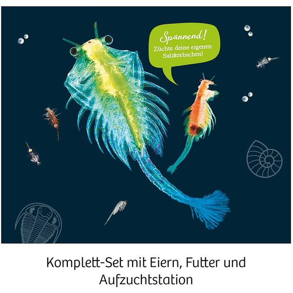 KOSMOS 657871 Urzeit-Krebse, Urzeitkrebse selbst züchten, Experimentier-Set für Kinder ab 8 Jahre, Komplett-Set für Einsteiger mit Eier, Futter, Gefäß, Pipette, weitere Utensilien