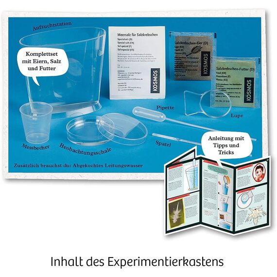 KOSMOS 657871 Urzeit-Krebse, Urzeitkrebse selbst züchten, Experimentier-Set für Kinder ab 8 Jahre, Komplett-Set für Einsteiger mit Eier, Futter, Gefäß, Pipette, weitere Utensilien