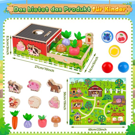 Montessori Spielzeug ab 1 2 Jahr: Geschenk Junge Mädchen 1-2 Jahre Kinderspielzeug Motorikwürfel Holzspielzeug Farmspiel mit Karte Karotten Steckspiel Lernspiel Kleinkinder ab 12 Monate Activity Spiel