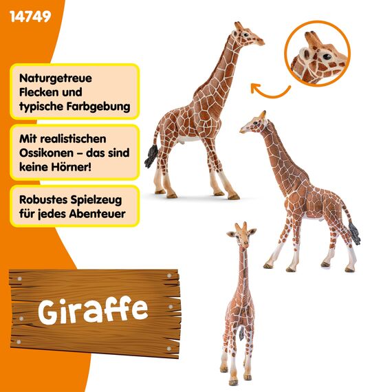 SCHLEICH WILD Life | Giraffenbulle 14749 | detailgetreue Tierfiguren | Zoo Spielzeug | tolles Geschenk für Jungen und Mädchen | Deko für Geburtstag | Spielfigur ab 3 Jahren | 13 x 4 x 17 cm