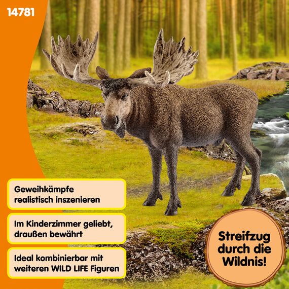 SCHLEICH WILD Life | Elch Bulle 14781 | detailgetreue Tierfiguren | Zoo Spielzeug | Geschenk für Jungen & Mädchen | Deko für Geburtstag & schöne Sammelfigur | Spielfigur ab 3 Jahren | 13 x 7 x 11 cm