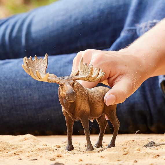 SCHLEICH WILD Life | Elch Bulle 14781 | detailgetreue Tierfiguren | Zoo Spielzeug | Geschenk für Jungen & Mädchen | Deko für Geburtstag & schöne Sammelfigur | Spielfigur ab 3 Jahren | 13 x 7 x 11 cm