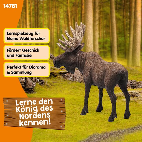 SCHLEICH WILD Life | Elch Bulle 14781 | detailgetreue Tierfiguren | Zoo Spielzeug | Geschenk für Jungen & Mädchen | Deko für Geburtstag & schöne Sammelfigur | Spielfigur ab 3 Jahren | 13 x 7 x 11 cm