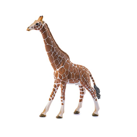 SCHLEICH 14749 Giraffenbulle, für Kinder ab 3+ Jahren, WILD Life - Spielfigur & 14770 Gorilla Männchen, für Kinder ab 3+ Jahren, WILD Life - Spielfigur