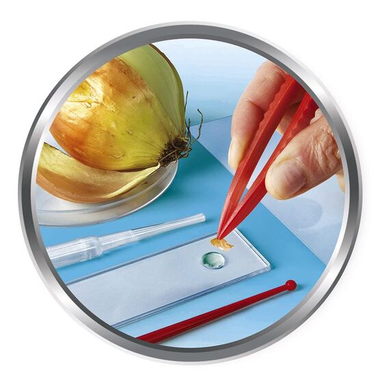 Clementoni Galileo Lab – Natur unter dem Mikroskop, Mikroskop für Kinder, Biologie-Labor für Schulkinder, Spielzeug für Kinder ab 8 Jahren von Clementoni 69804