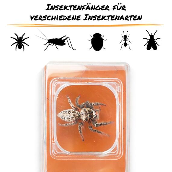 Carson BugView tierfreundlicher Lebend-Insektenfänger mit Forscherlupe, ideales Entdeckerspielzeug (HU-10)
