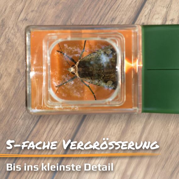 Carson BugView tierfreundlicher Lebend-Insektenfänger mit Forscherlupe, ideales Entdeckerspielzeug (HU-10)
