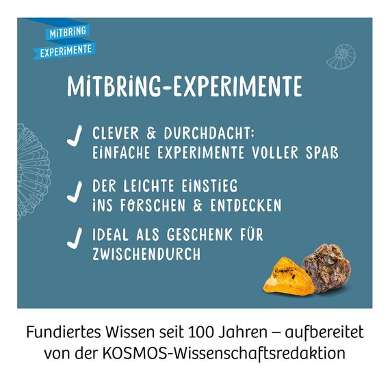 KOSMOS 657918 Fossilien Ausgrabungs-Set, Grabe echte Versteinerungen und Bernstein selbst aus, mit Hammer und Meißel, Experimentierset für Kinder ab 7 Jahre