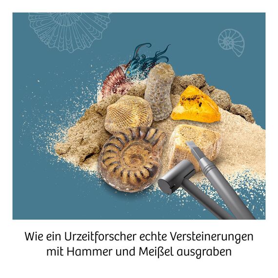 KOSMOS 657918 Fossilien Ausgrabungs-Set, Grabe echte Versteinerungen und Bernstein selbst aus, mit Hammer und Meißel, Experimentierset für Kinder ab 7 Jahre