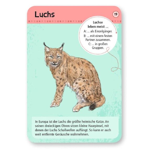 moses. Expedition Natur - 50 heimische Wald- und Wildtiere, Entdeckerkarten zur Bestimmung von Tierarten, Outdoor-Spielzeug für Kinder ab 6 Jahren