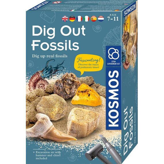KOSMOS ‎616922 Fossilien Ausgrabungs-Set, Grabe echte Versteinerungen und Bernstein selbst aus, mit Hammer und Meißel, Experimentierset für Kinder ab 7 Jahre, mehrsprachige Anleitung