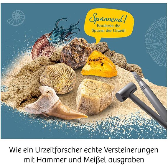 KOSMOS ‎616922 Fossilien Ausgrabungs-Set, Grabe echte Versteinerungen und Bernstein selbst aus, mit Hammer und Meißel, Experimentierset für Kinder ab 7 Jahre, mehrsprachige Anleitung
