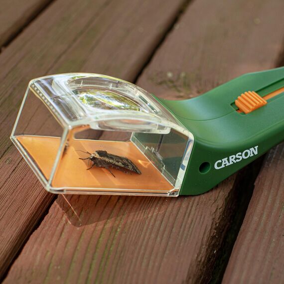 Carson BugView Lebend-Insektenfänger und Forscherlupe, ideal als Entdeckerspielzeug und Haushaltshilfe - 6er Pack (HU-10MU), grün