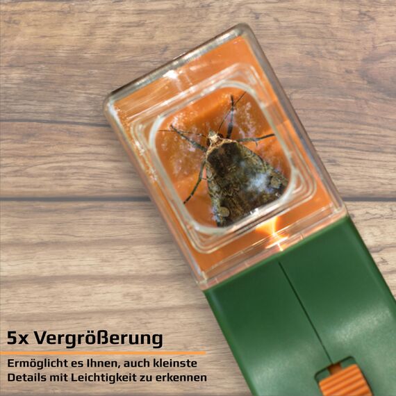 Carson BugView Lebend-Insektenfänger und Forscherlupe, ideal als Entdeckerspielzeug und Haushaltshilfe - 6er Pack (HU-10MU), grün