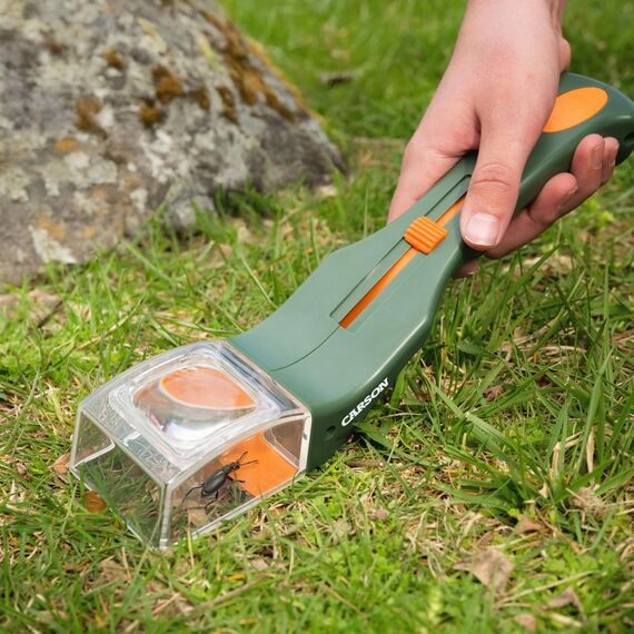 Carson BugView Lebend-Insektenfänger und Forscherlupe, ideal als Entdeckerspielzeug und Haushaltshilfe - 6er Pack (HU-10MU), grün