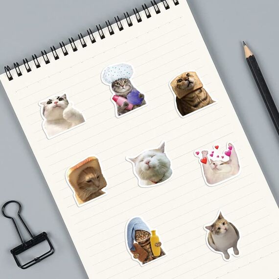 50 Stück Lustige Meme Sticker Set,Meme Aufkleber für Auto Laptop Skateboard Fahrrad Moped Motorrad Fahrrad Computer,Geeignet für Erwachsene (Katzen Meme 1)