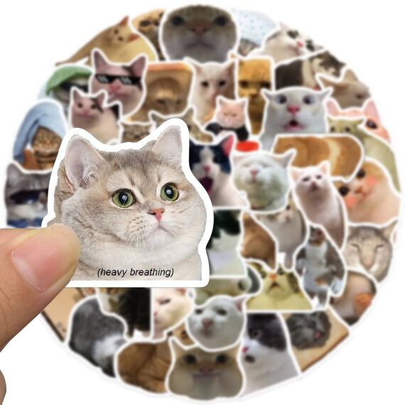 50 Stück Lustige Meme Sticker Set,Meme Aufkleber für Auto Laptop Skateboard Fahrrad Moped Motorrad Fahrrad Computer,Geeignet für Erwachsene (Katzen Meme 1)