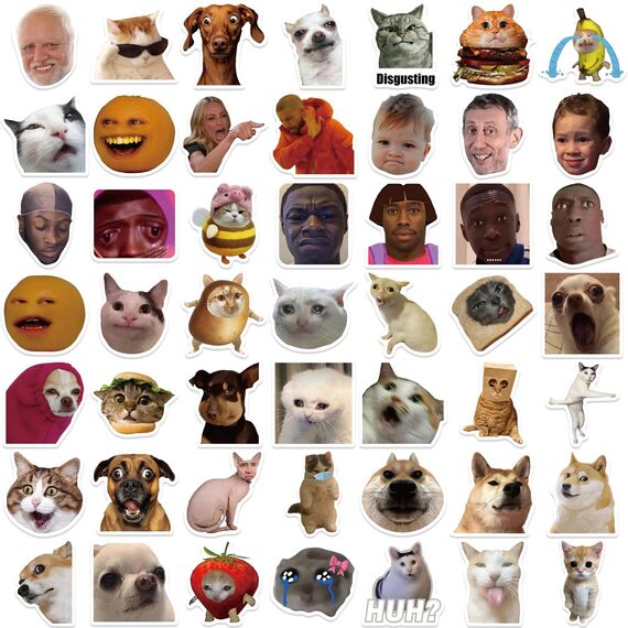 50 Stück Lustige Meme Sticker Set,Meme Aufkleber für Auto Laptop Skateboard Fahrrad Moped Motorrad Fahrrad Computer,Geeignet für Erwachsene (Meme mix)