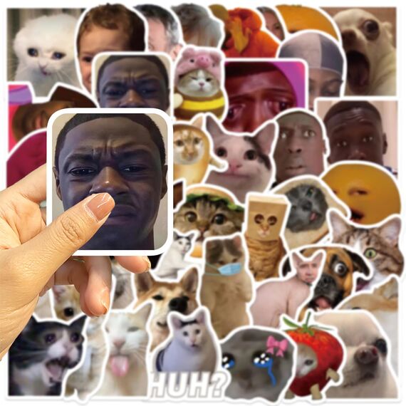 50 Stück Lustige Meme Sticker Set,Meme Aufkleber für Auto Laptop Skateboard Fahrrad Moped Motorrad Fahrrad Computer,Geeignet für Erwachsene (Meme mix)