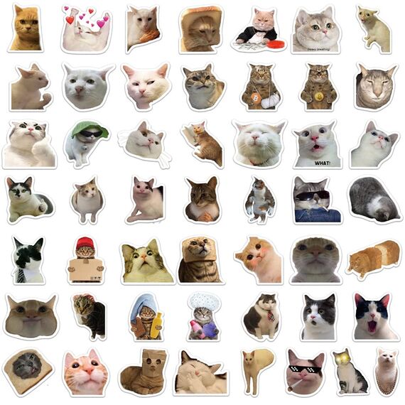50 Stück Lustige Meme Sticker Set,Meme Aufkleber für Auto Laptop Skateboard Fahrrad Moped Motorrad Fahrrad Computer,Geeignet für Erwachsene (Katzen Meme 1)