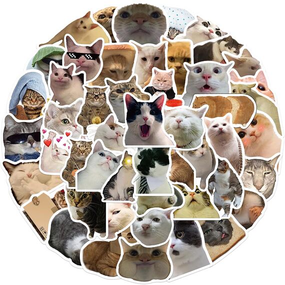 50 Stück Lustige Meme Sticker Set,Meme Aufkleber für Auto Laptop Skateboard Fahrrad Moped Motorrad Fahrrad Computer,Geeignet für Erwachsene (Katzen Meme 1)