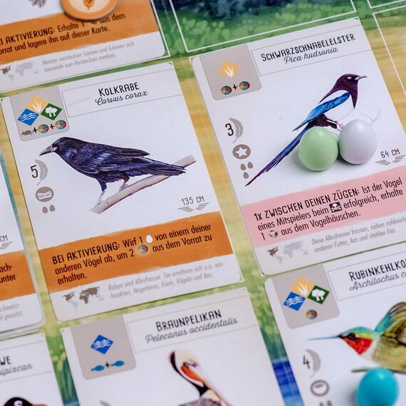 Feuerland Spiele 104-146-901 63558 FLÜGELSCHLAG Brettspiel Deutsche Edition - Kennerspiel des Jahres 2019 (Kritikerpreis)