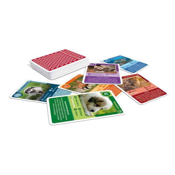 ASS Altenburger 22572089 Quartett Tierkinder, ab 6 Jahren, Weiß