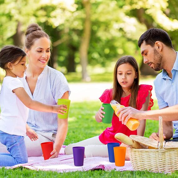PALUDO 30 Stück Bunt Plastikbecher Wiederverwendbare Becher - 260ml Plastik Trinkbecher in 10 Farben - Mehrweg Kunststoffbecher Set - für Kinder Partys im Freien Picknicks Camping Reisen Küche