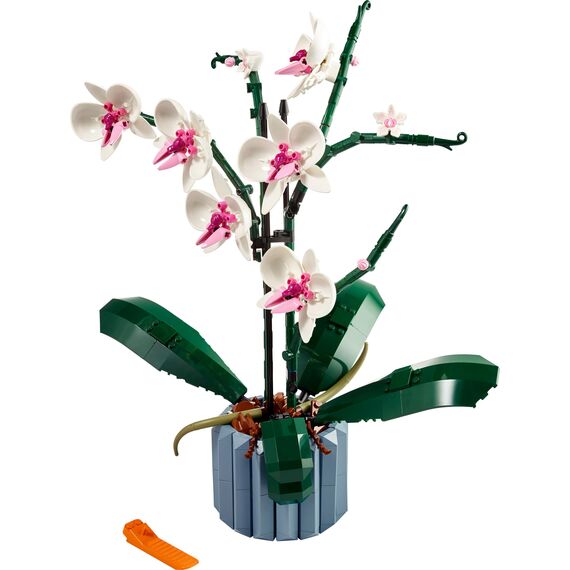 LEGO Botanicals Orchidee - Künstliche Pflanzen Set mit weißen und rosa Blumen - Modellbausatz für Erwachsene - Home und Zimmer-Deko - Botanik Kollektion - Geschenke für Frauen und Männer 10311