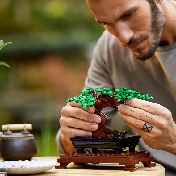 LEGO Botanicals Bonsai Baum Set für Erwachsene - Pflanzen Home Deko Set - DIY Projekt und entspannende kreative Aktivität - Geschenkidee für Frauen und Männer - Botanik Kollektion 10281