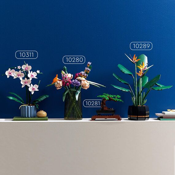 LEGO Botanicals Orchidee - Künstliche Pflanzen Set mit weißen und rosa Blumen - Modellbausatz für Erwachsene - Home und Zimmer-Deko - Botanik Kollektion - Geschenke für Frauen und Männer 10311