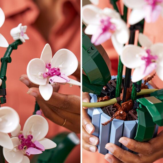 LEGO Botanicals Orchidee - Künstliche Pflanzen Set mit weißen und rosa Blumen - Modellbausatz für Erwachsene - Home und Zimmer-Deko - Botanik Kollektion - Geschenke für Frauen und Männer 10311