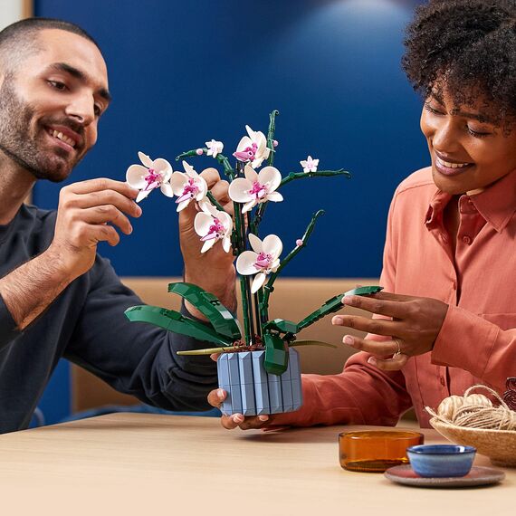 LEGO Botanicals Orchidee - Künstliche Pflanzen Set mit weißen und rosa Blumen - Modellbausatz für Erwachsene - Home und Zimmer-Deko - Botanik Kollektion - Geschenke für Frauen und Männer 10311