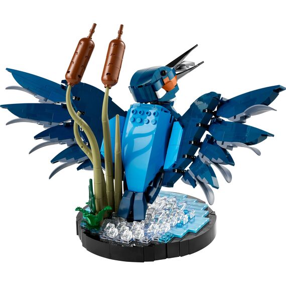 LEGO Icons Eisvogel Modellbausatz für Erwachsene, Vogel-Modell fürs Wohnzimmer oder Büro, Wohn- und Homeoffice-Deko, Geschenk für Vogelliebhaber und Ornithologen, Frauen und Männer 10331