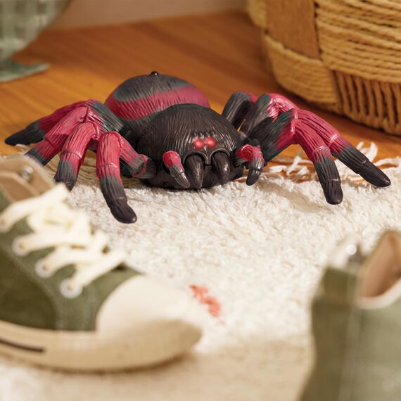 TERRA by Battat - Vogelspinne - Spielzeug-Spinne - Ferngesteuertes Spielzeug - Vogelspinne Spielzeug - Insekten - 6 Jahre +