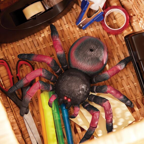 TERRA by Battat - Vogelspinne - Spielzeug-Spinne - Ferngesteuertes Spielzeug - Vogelspinne Spielzeug - Insekten - 6 Jahre +