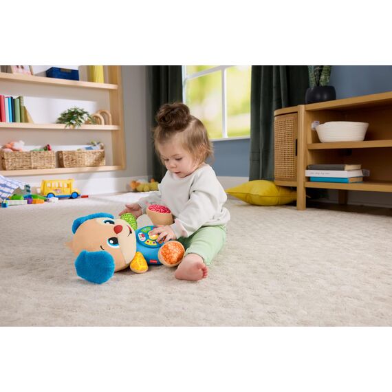 Fisher-Price, Leksak, JFD21