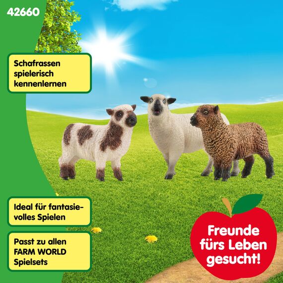 SCHLEICH Farm World | Schaffreunde 42660 Bauernhof Spielfigur | detailgetreue Tierfiguren | Geschenk für Jungen und Mädchen | Bauernhof Spielzeug ab 3 Jahre | Set aus 3 Teilen