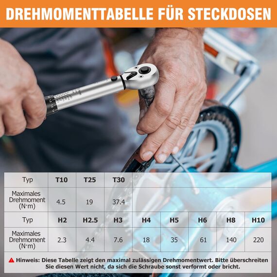 13TLG Klein Drehmomentschlüssel Fahrrad 3-25NM, 1/4 Zoll Torque Wrench Set, 72 Zähne Umschaltknarre, Ratschenkasten inklusive mit Verlängerungsstange 10 cm, Innensechskant und Torx Bit Buchse
